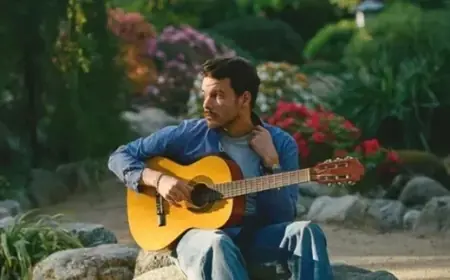 Arti Makna Lagu - Rex Orange County, Kisahkan tentang Perasaan Cinta yang Tidak Terbalas