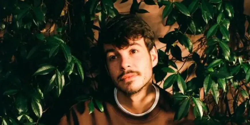 Arti dan Makna Lagu Television / So Far So Good Rex Orange County, Mengupas Dilema Dalam Kehidupan